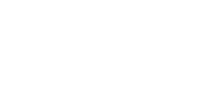 Camber Consulting LLC